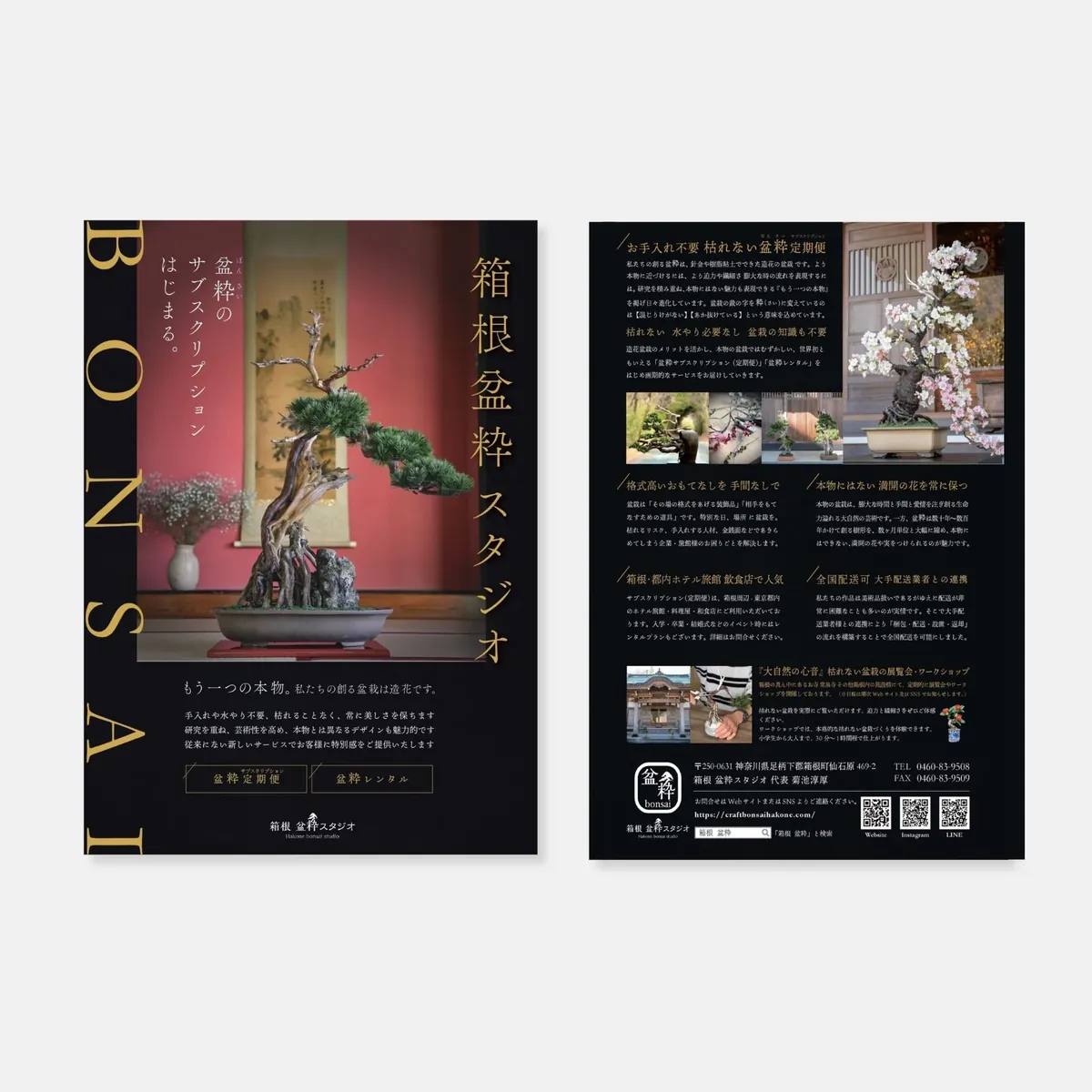 箱根盆栽スタジオ DM